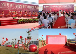 全方位整合营销方案 庆典活动与品牌推广的公关策划实践